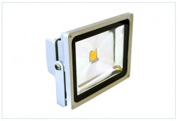 LC-FL-100-WW